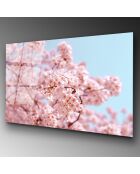 Impression sur verre Cerisier en fleurs multicolore - 70x100cm